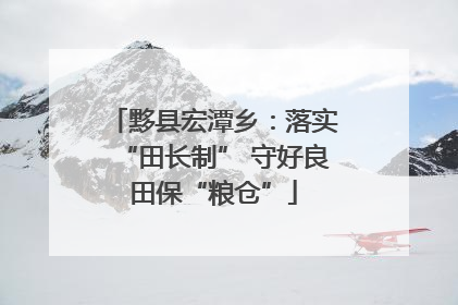 黟县宏潭乡：落实“田长制” 守好良田保“粮仓”