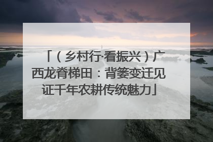 （乡村行·看振兴）广西龙脊梯田：背篓变迁见证千年农耕传统魅力