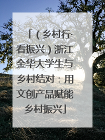 （乡村行·看振兴）浙江金华大学生与乡村结对：用文创产品赋能乡村振兴