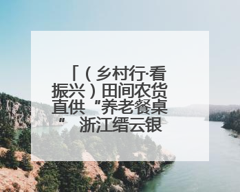 （乡村行·看振兴）田间农货直供“养老餐桌” 浙江缙云银发经济盘活山区资源