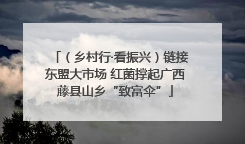 （乡村行·看振兴）链接东盟大市场 红菌撑起广西藤县山乡“致富伞”