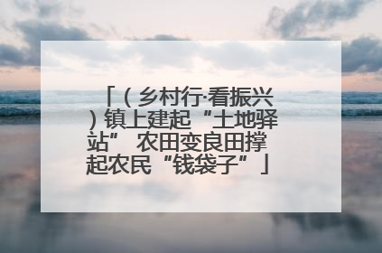 （乡村行·看振兴）镇上建起“土地驿站” 农田变良田撑起农民“钱袋子”