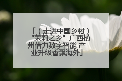 （走进中国乡村）“茉莉之乡”广西横州借力数字智能 产业升级香飘海外