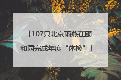 107只北京雨燕在颐和园完成年度“体检”