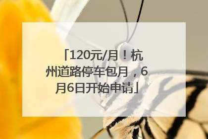 120元/月！杭州道路停车包月，6月6日开始申请