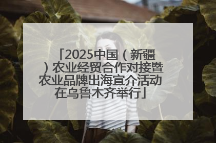 2025中国（新疆）农业经贸合作对接暨农业品牌出海宣介活动在乌鲁木齐举行