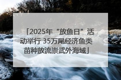 2025年“放鱼日”活动举行 35万尾经济鱼类苗种放流崇武外海域