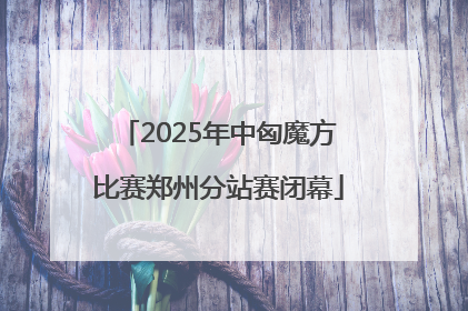2025年中匈魔方比赛郑州分站赛闭幕