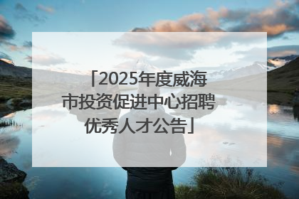 2025年度威海市投资促进中心招聘优秀人才公告