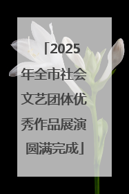2025年全市社会文艺团体优秀作品展演圆满完成