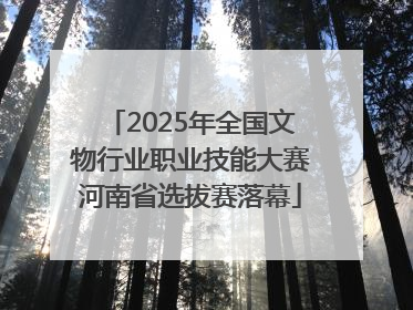 2025年全国文物行业职业技能大赛河南省选拔赛落幕