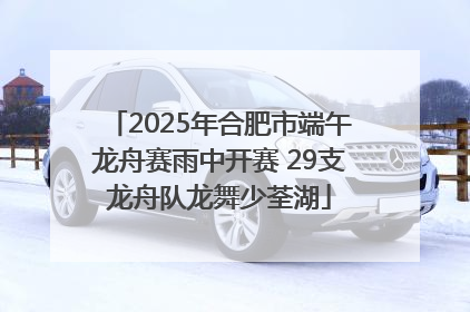 2025年合肥市端午龙舟赛雨中开赛 29支龙舟队龙舞少荃湖