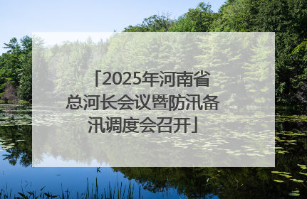 2025年河南省总河长会议暨防汛备汛调度会召开
