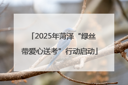 2025年菏泽“绿丝带爱心送考”行动启动