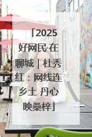 2025好网民·在聊城｜杜秀红：网线连乡土 丹心映桑梓