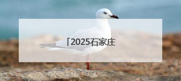 2025石家庄体育消费季开启