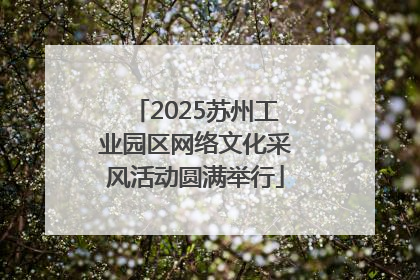 2025苏州工业园区网络文化采风活动圆满举行