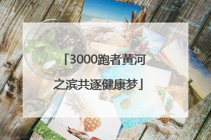 3000跑者黄河之滨共逐健康梦