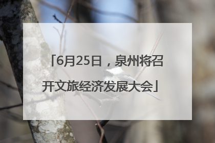 6月25日，泉州将召开文旅经济发展大会