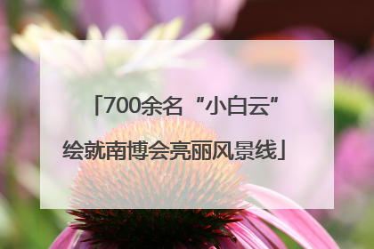 700余名“小白云”绘就南博会亮丽风景线