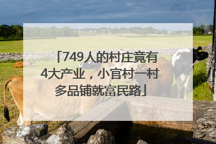 749人的村庄竟有4大产业，小官村一村多品铺就富民路