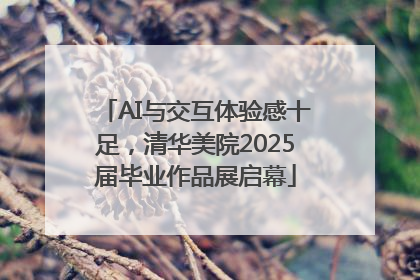 AI与交互体验感十足，清华美院2025届毕业作品展启幕