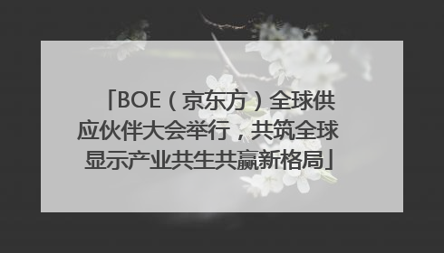 BOE（京东方）全球供应伙伴大会举行，共筑全球显示产业共生共赢新格局