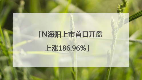 N海阳上市首日开盘上涨186.96%